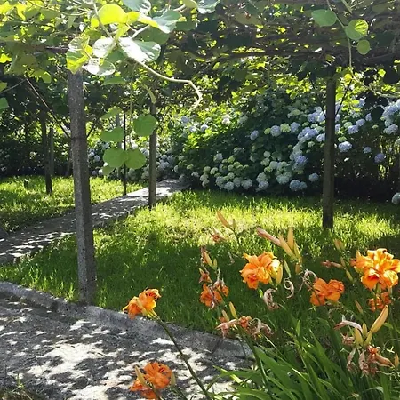 Nyaraló Home, Vale de Cambra