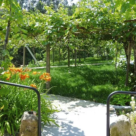 Home, Vale de Cambra