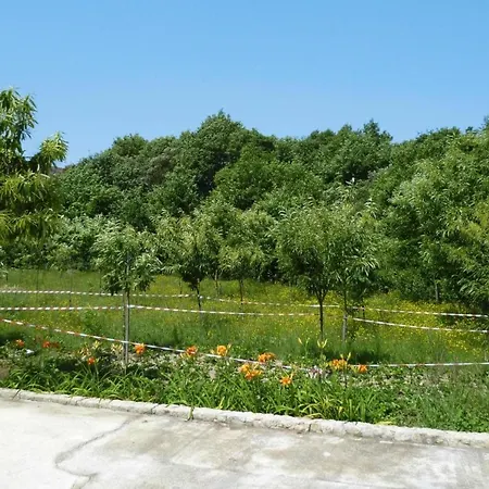 Home, Σπίτι διακοπών Vale de Cambra